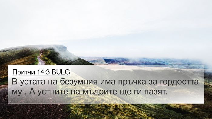 Притчи 14:3 BULG Bible Verse Image