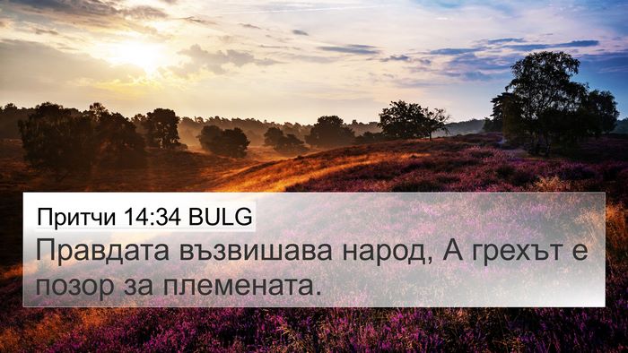 Притчи 14:34 BULG Bible Verse Image