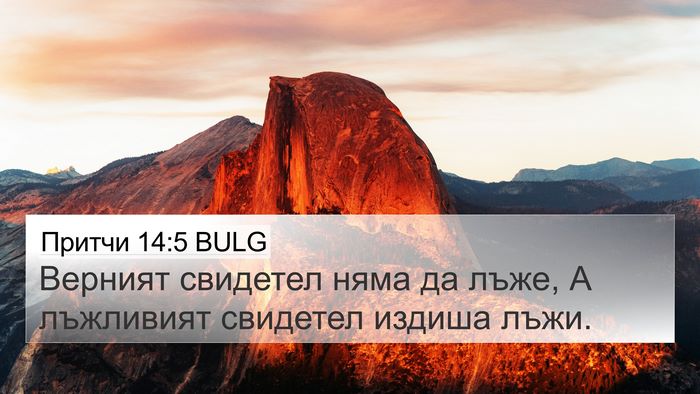 Притчи 14:5 BULG Bible Verse Image