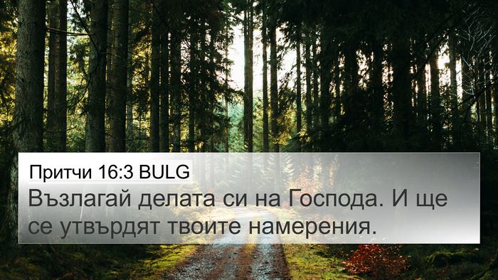 Притчи 16:3 BULG Bible Verse Image
