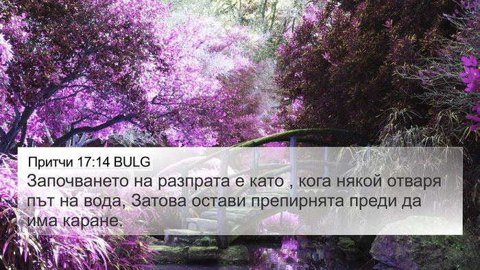 Притчи 17:14 BULG Bible Verse Image