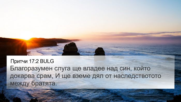 Притчи 17:2 BULG Bible Verse Image