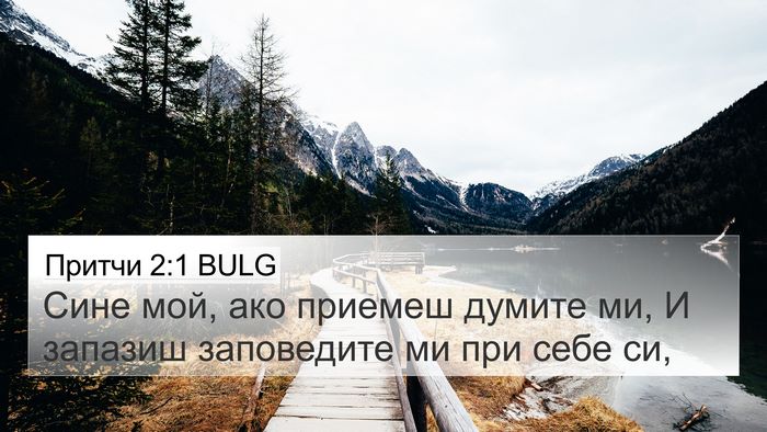 Притчи 2:1 BULG Bible Verse Image