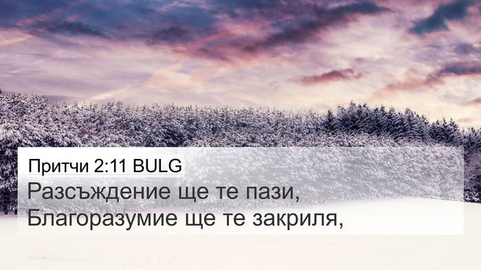 Притчи 2:11 BULG Bible Verse Image