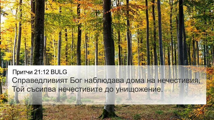 Притчи 21:12 BULG Bible Verse Image