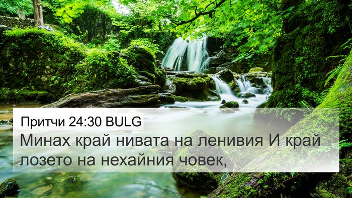Притчи 24:30 BULG Bible Verse Image
