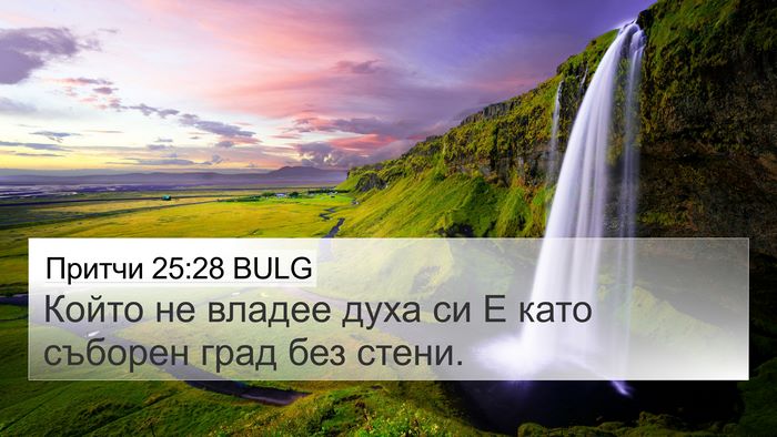 Притчи 25:28 BULG Bible Verse Image
