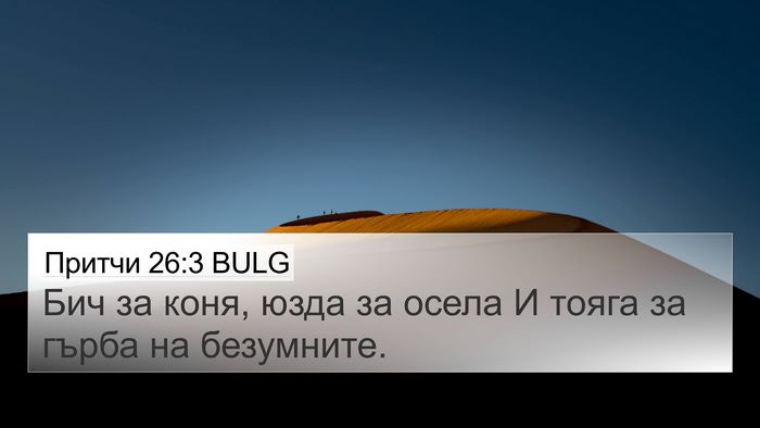 Притчи 26:3 BULG Bible Verse Image