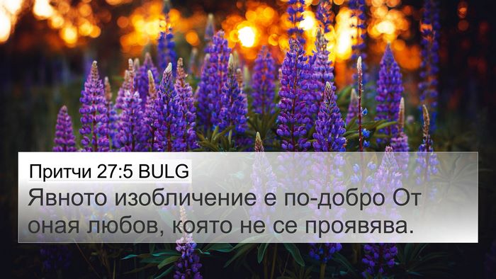 Притчи 27:5 BULG Bible Verse Image