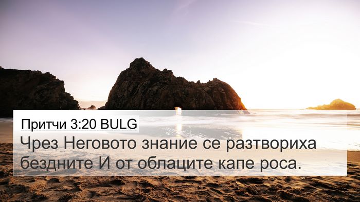 Притчи 3:20 BULG Bible Verse Image