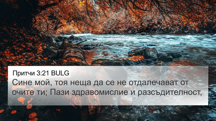 Притчи 3:21 BULG Bible Verse Image