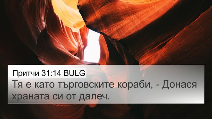 Притчи 31:14 BULG 4K Wallpaper - Тя е като търговските - 4K Wallpaper Bible Verse