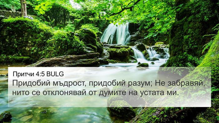 Притчи 4:5 BULG Bible Verse Image