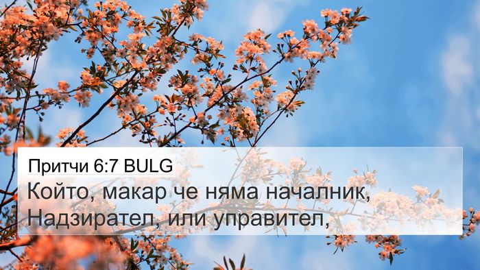 Притчи 6:7 BULG 4K Wallpaper - Който, макар че няма - 4K Wallpaper Bible Verse