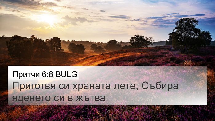 Притчи 6:8 BULG Bible Verse Image