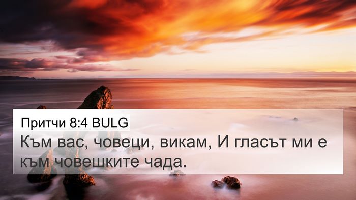 Притчи 8:4 BULG Bible Verse Image