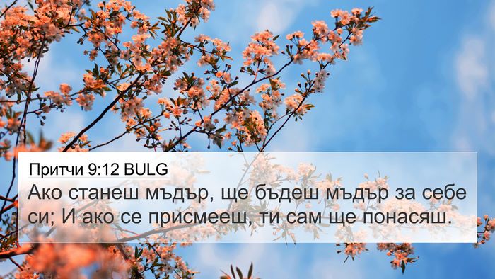 Притчи 9:12 BULG Bible Verse Image