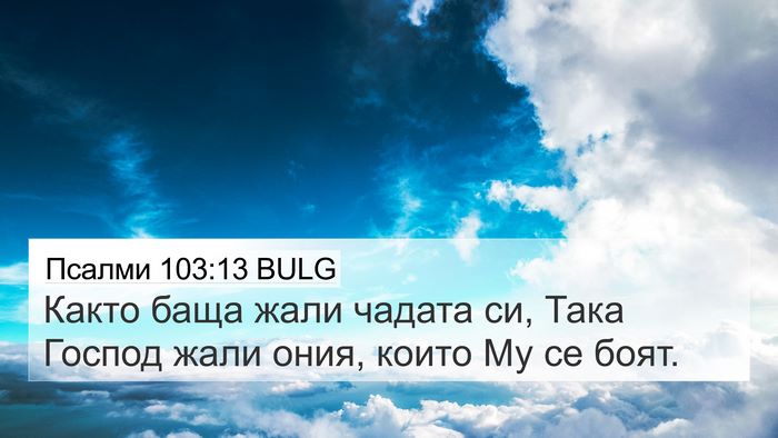 Псалми 103:13 BULG Bible Verse Image