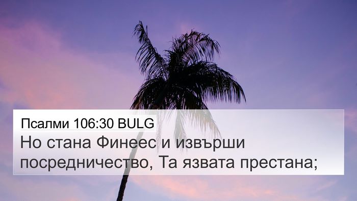 Псалми 106:30 BULG Bible Verse Image