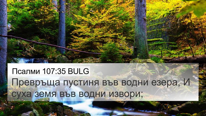 Псалми 107:35 BULG Bible Verse Image