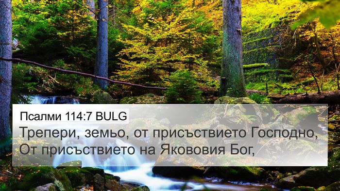 Псалми 114:7 BULG 4K Wallpaper - Трепери, земьо, от - 4K Wallpaper Bible Verse