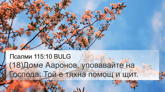 Псалми 115:10 BULG 4K Wallpaper - (18)Доме Ааронов, уповавайте - 4K Wallpaper Bible Verse