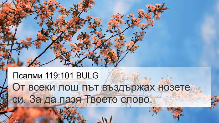 Псалми 119:101 BULG Bible Verse Image