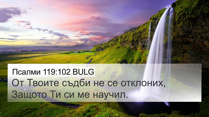 Псалми 119:102 BULG Bible Verse Image