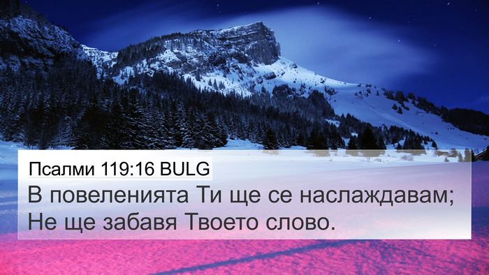 Псалми 119:16 BULG Bible Verse Image