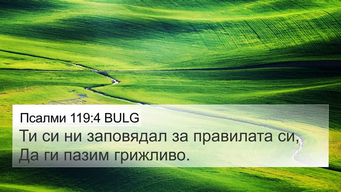 Псалми 119:4 BULG Bible Verse Image