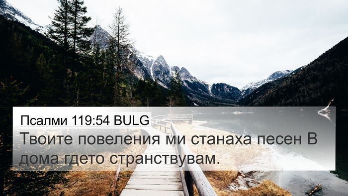 Псалми 119:54 BULG Bible Verse Image