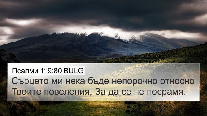 Псалми 119:80 BULG Bible Verse Image