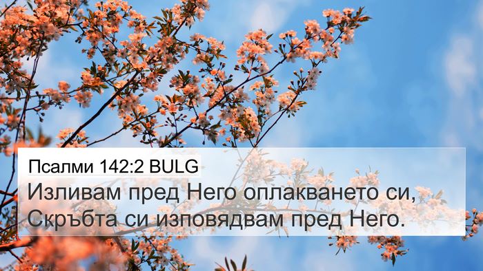 Псалми 142:2 BULG Bible Verse Image