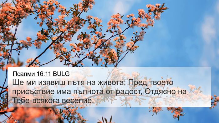 Псалми 16:11 BULG Bible Verse Image