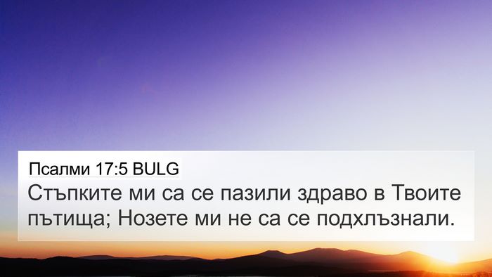 Псалми 17:5 BULG Bible Verse Image