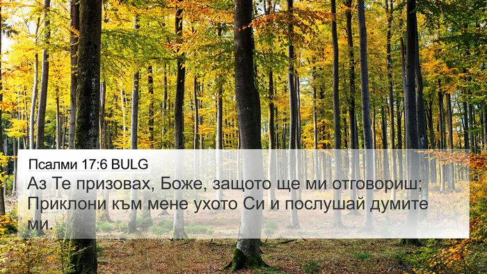 Псалми 17:6 BULG Bible Verse Image