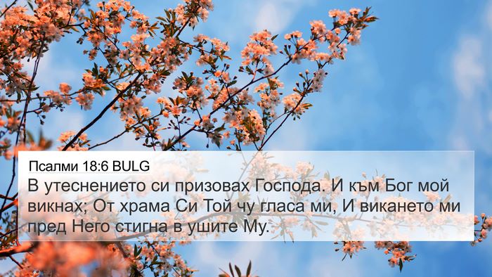 Псалми 18:6 BULG Bible Verse Image