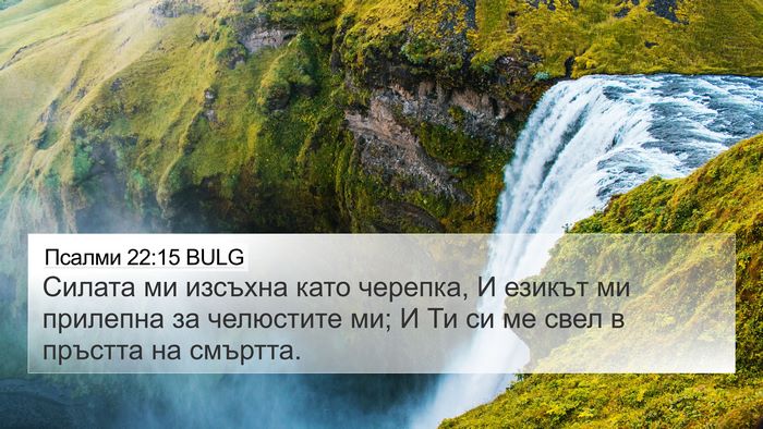 Псалми 22:15 BULG Bible Verse Image