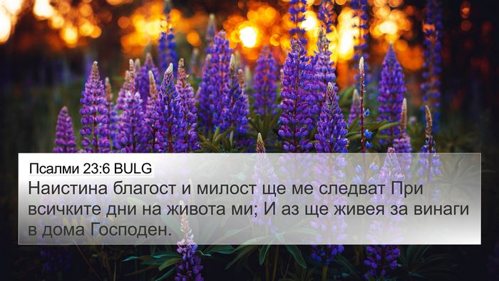 Псалми 23:6 BULG Bible Verse Image