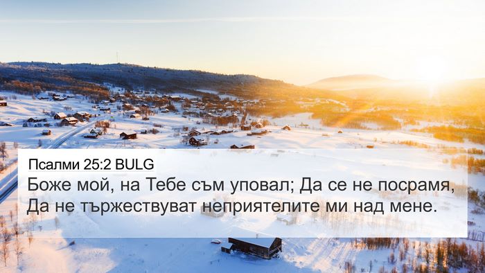 Псалми 25:2 BULG Bible Verse Image