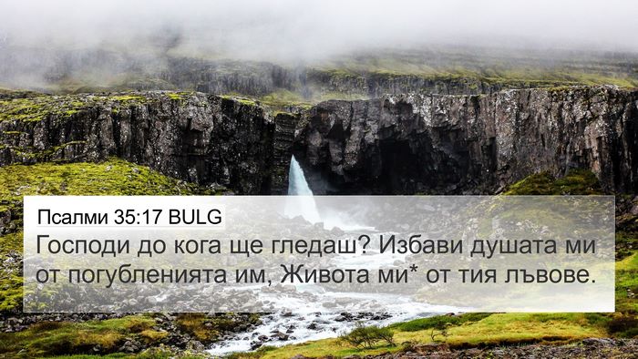 Псалми 35:17 BULG Bible Verse Image