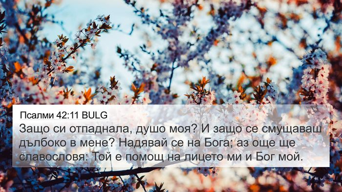 Псалми 42:11 BULG Bible Verse Image