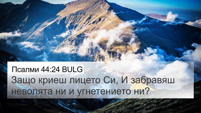 Псалми 44:24 BULG Bible Verse Image