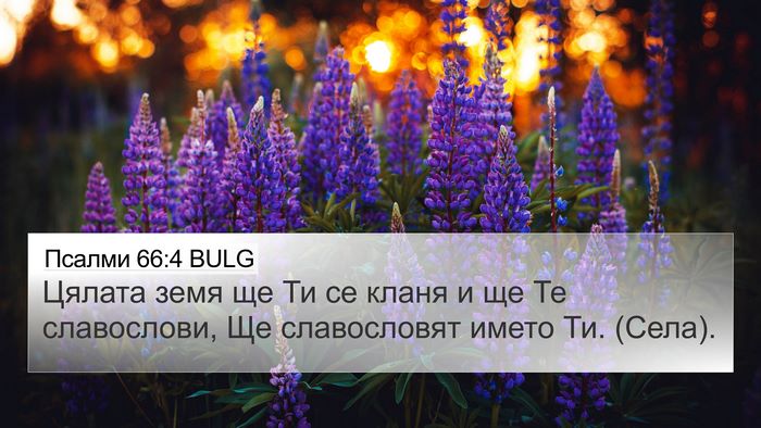 Псалми 66:4 BULG Bible Verse Image