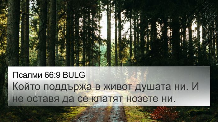 Псалми 66:9 BULG Bible Verse Image