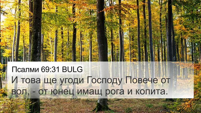 Псалми 69:31 BULG Bible Verse Image