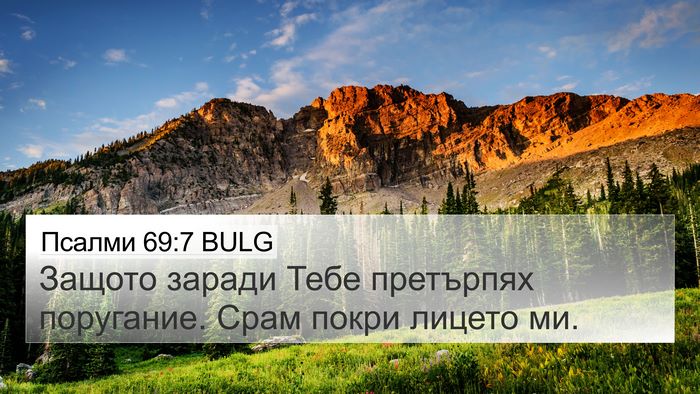 Псалми 69:7 BULG Bible Verse Image
