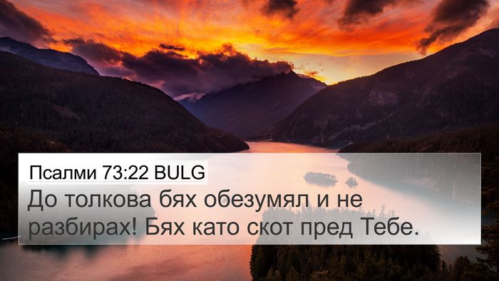 Псалми 73:22 BULG Bible Verse Image