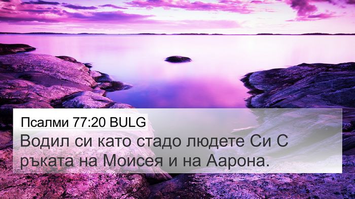Псалми 77:20 BULG Bible Verse Image