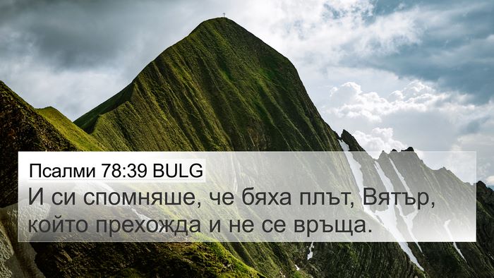 Псалми 78:39 BULG Bible Verse Image